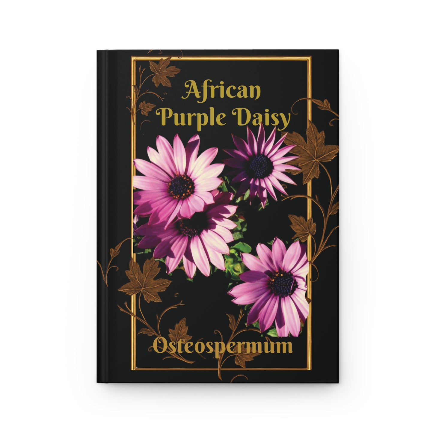 the Purple African Daisy HC Journal_abot