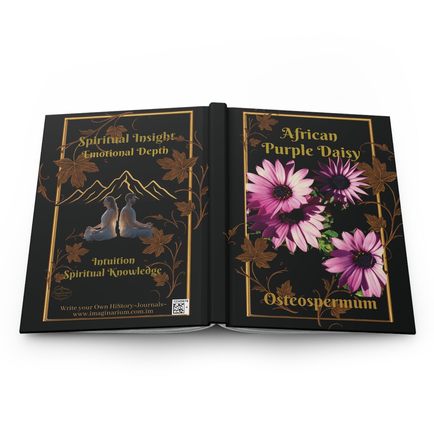 the Purple African Daisy HC Journal_abot
